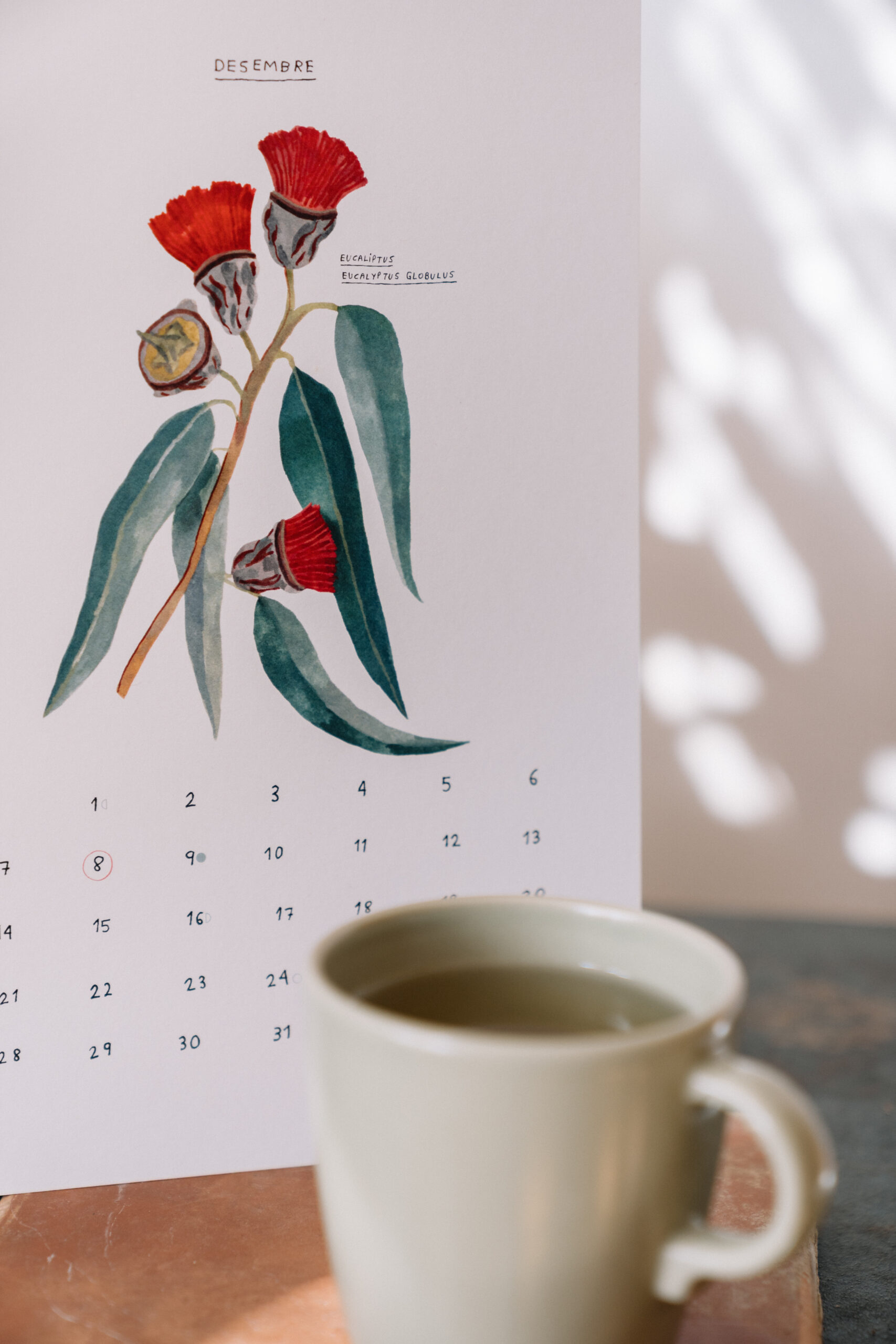 SiraAyatsxGalaPont-12