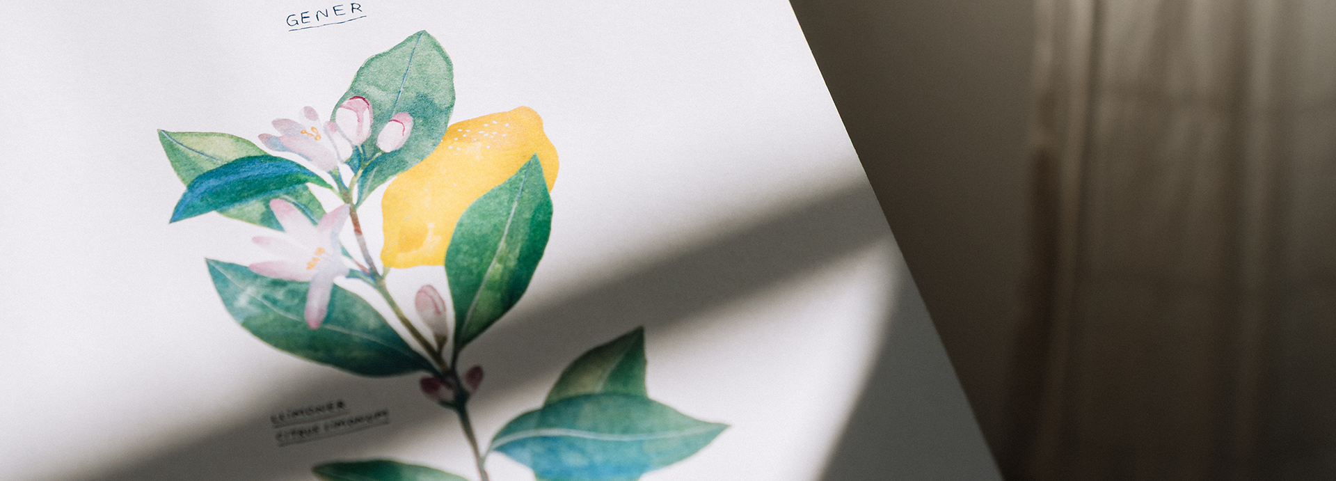 SiraAyatsxGalaPont-23