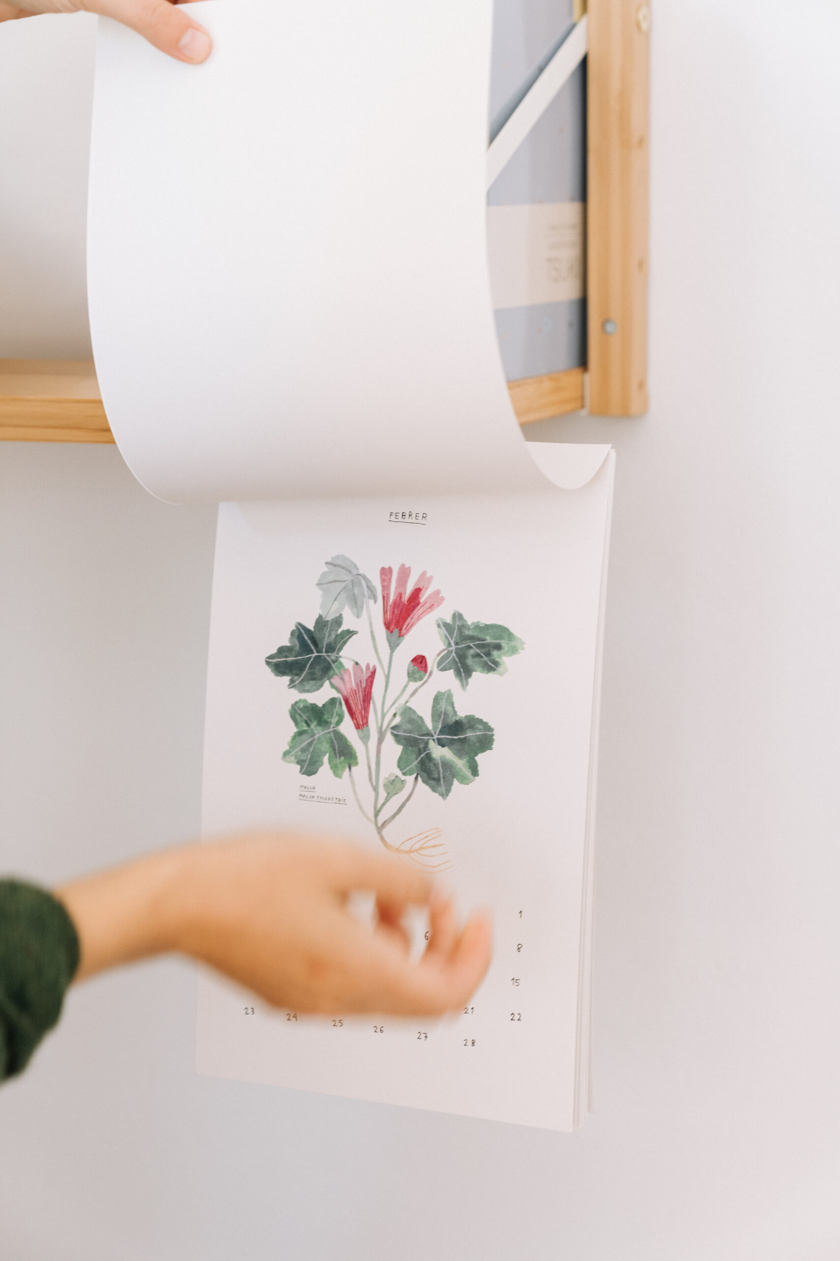 SiraAyatsxGalaPont-4