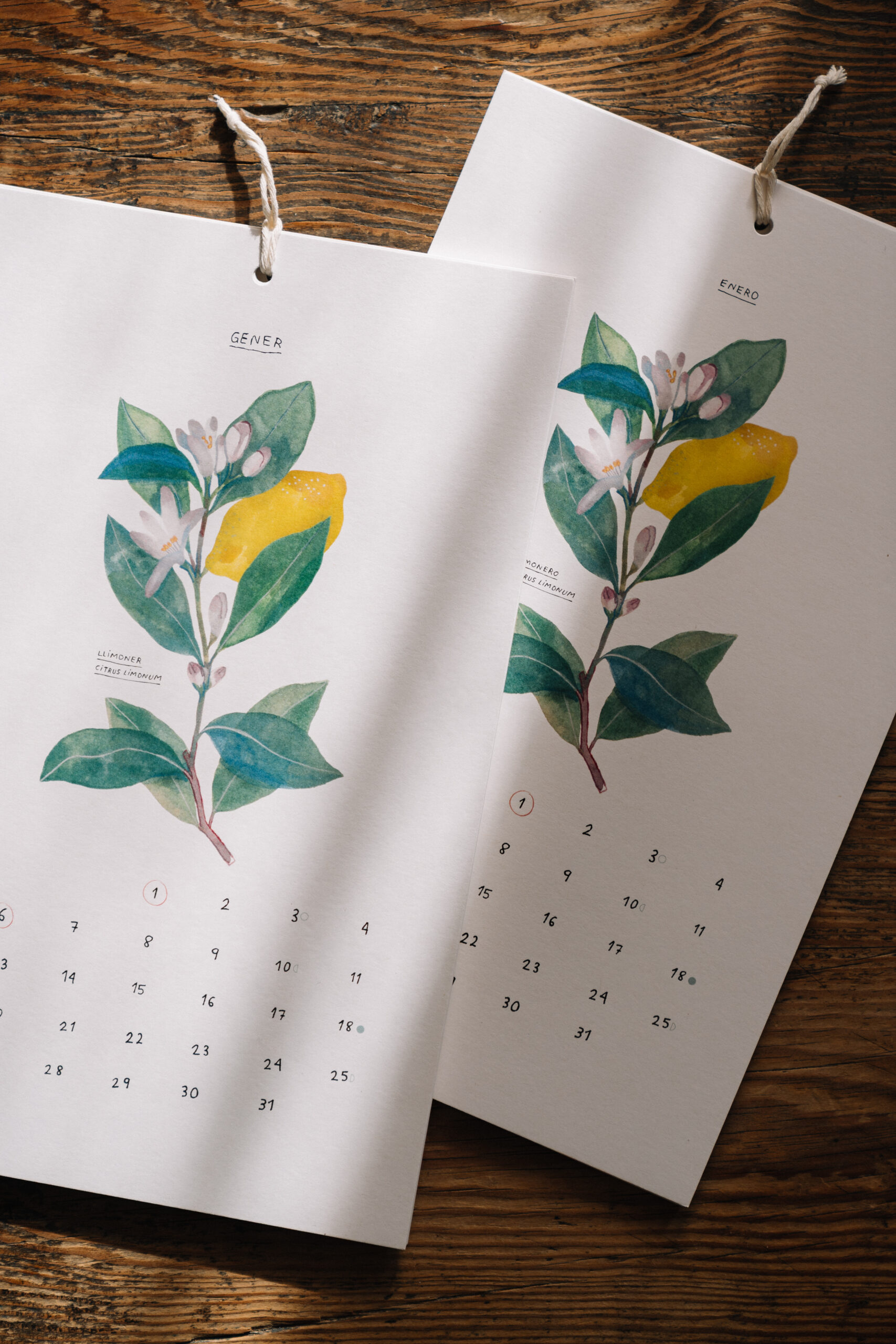 SiraAyatsxGalaPont-6