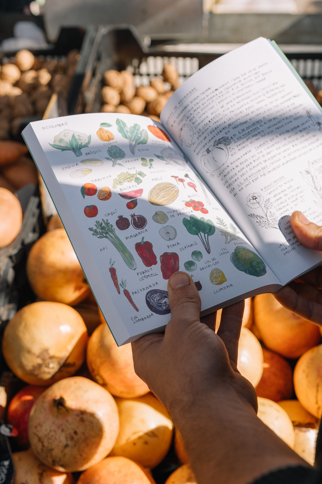 SiraAyatsxGalaPont_Agenda-1